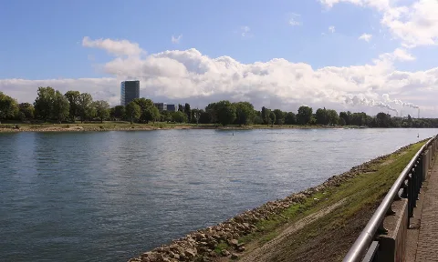 Usuwanie odpadów wielkogabarytowych Ludwigshafen am Rhein